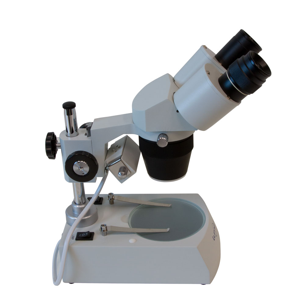Estereomicroscópio Binocular LED LM350B