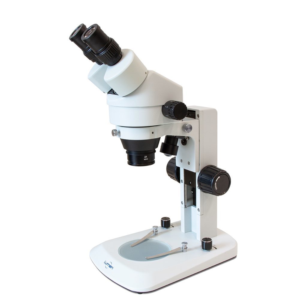 Estereomicroscópio Binocular Zoom LM360BZ