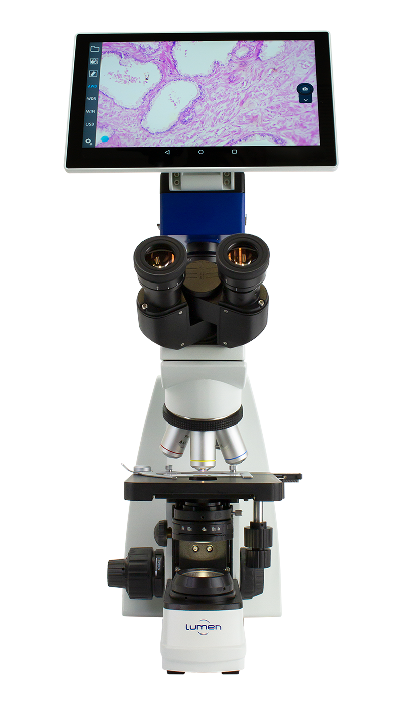 LM3200TLi f com talblet