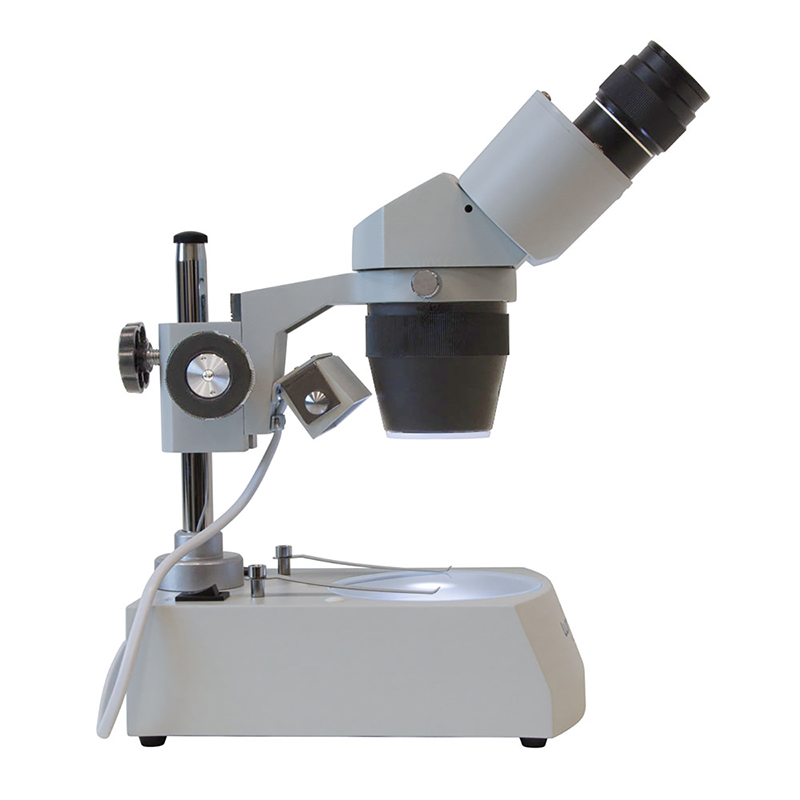 microscópio binocular