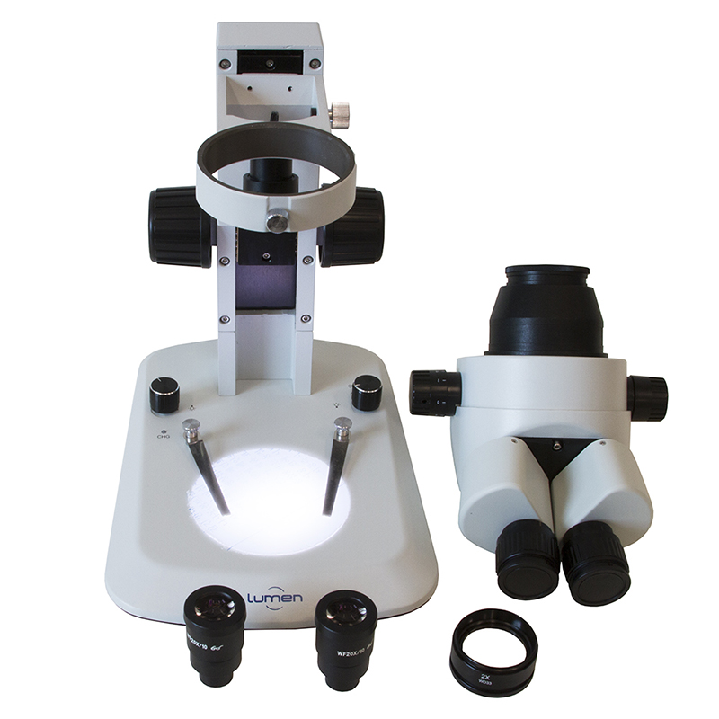 Estereomicroscópio LM360BZ
