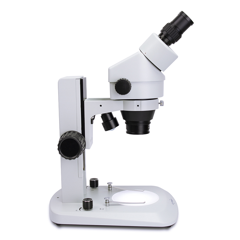 Estereomicroscópio Binocular 180X LM360BZ