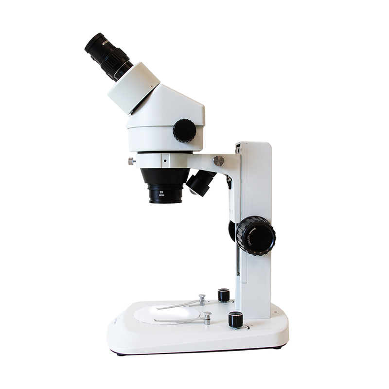 Estereomicroscópio Binocular 180X LM360BZ