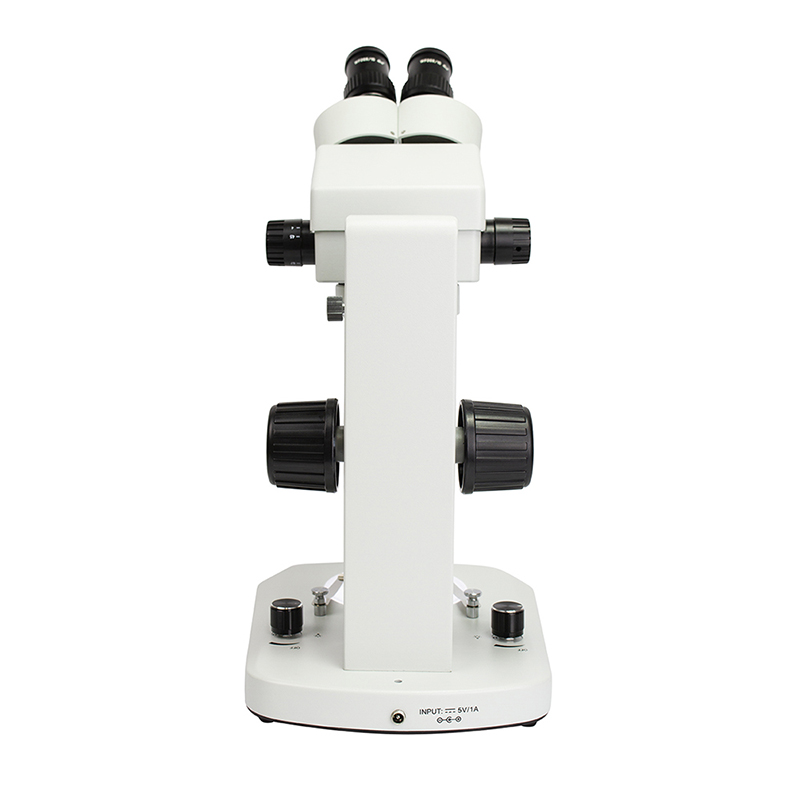 Estereomicroscópio LM360BZ