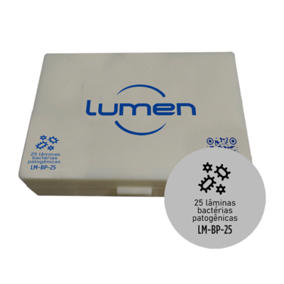 Conjunto de Lâminas Preparadas de Bactérias Patogênicas LM-BP-25 Lumen®