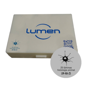 Conjunto de lâminas preparadas de Histologia Animal LM-HA-25 Lumen®