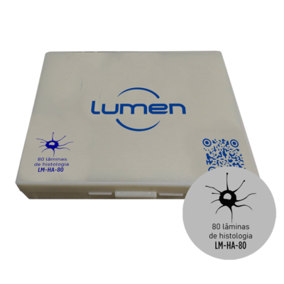 Conjunto de lâminas preparadas de Histologia Animal LM-HA-80 Lumen®