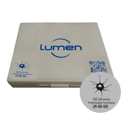 Conjunto de lâminas preparadas de Histologia LM-HH-100 Lumen®