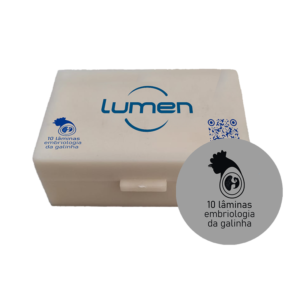 Conjunto Lâminas Preparadas de Embriologia da Galinha LM-EG-10 Lumen®