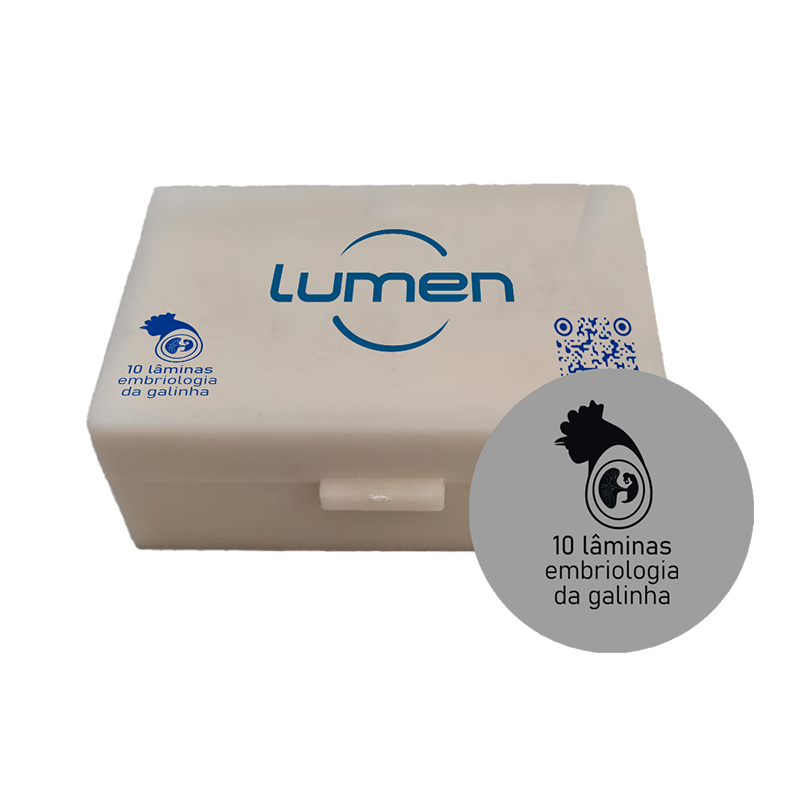 Conjunto Lâminas Preparadas de Embriologia da Galinha LM-EG-10 Lumen®