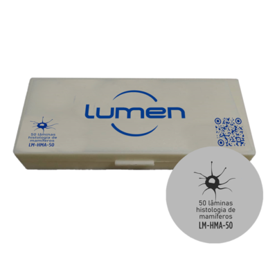 Conjunto de lâminas preparadas de Histologia LM-HMA-50 Lumen®