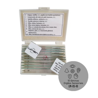 Conjunto de lâminas preparadas de Orgãos Sensoriais LM-OS-10 Lumen®