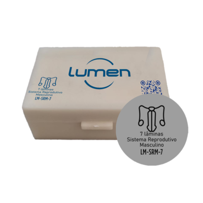 Conjunto de lâminas preparadas Sistema Reprodutivo Masculino LM-SRM-7 Lumen®