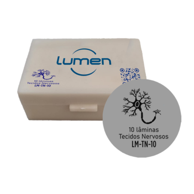 Conjunto de lâminas preparadas de Tecidos Nervosos LM-TN-10 Lumen®