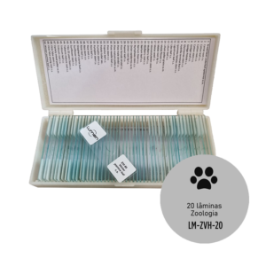 Conjunto de lâminas preparadas de Zoologia de Vermes Helmintos LM-ZVH-20 Lumen®