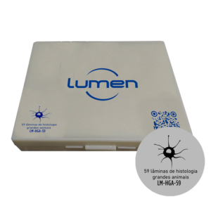 Conjunto de lâminas preparadas de Histologia Grandes Animais LM-HGA-59 Lumen®