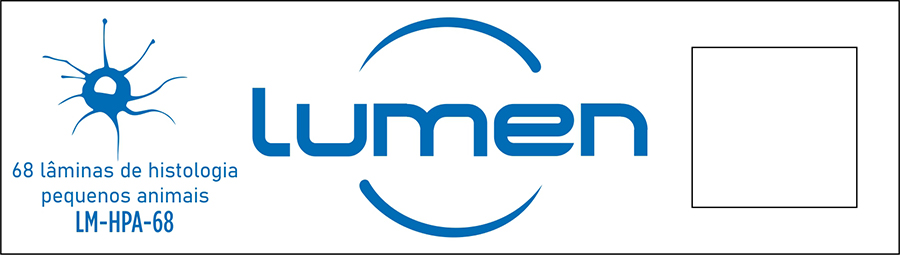 Conjunto de lâminas preparadas LM-BT-30 de Bacteriologia Lumen®